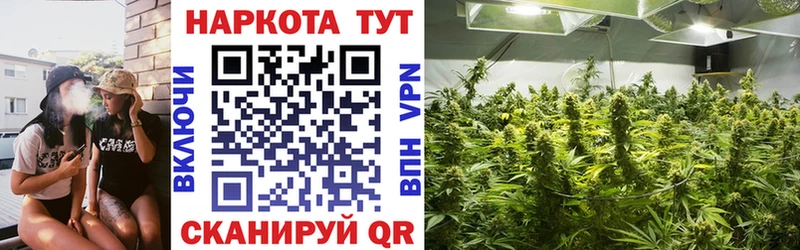 Где найти наркотики Малаховка Каннабис Кокаин Гашиш