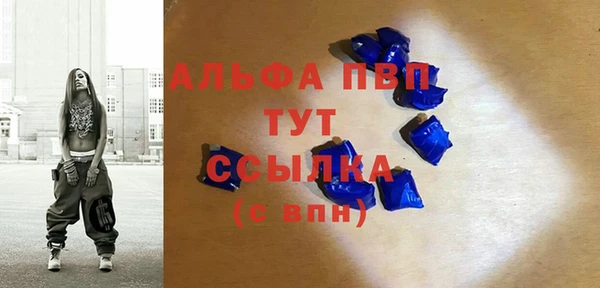 твердый Богданович