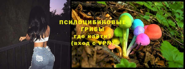 твердый Богданович